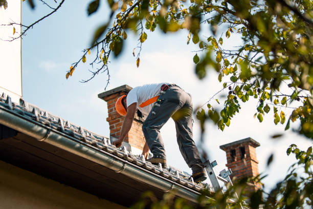 Best Residential Roof Replacement  in Diaz, AR