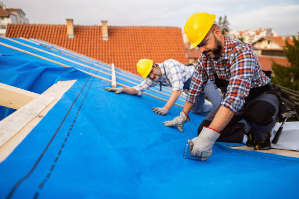 Best Flat Roof Repair Services  in Diaz, AR