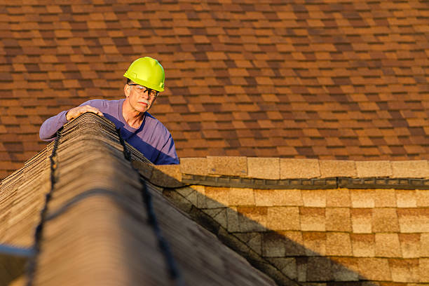 Best Emergency Roof Repair  in Diaz, AR