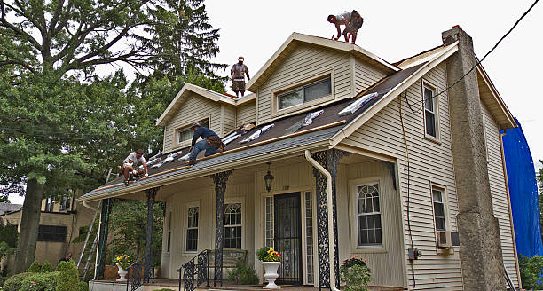 Professional Roofing Contractor in Diaz, AR